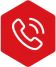 Phone Icon